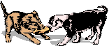 Click for Full Size Image